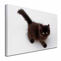 Chocolate Black Kitten Canvas X-Large 30"x20" Wall Art Print