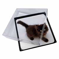 4x Chocolate Black Kitten Picture Table Coasters Set in Gift Box