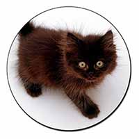 Chocolate Black Kitten Fridge Magnet Printed Full Colour