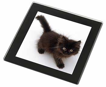 Chocolate Black Kitten Black Rim High Quality Glass Coaster