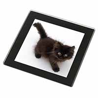 Chocolate Black Kitten Black Rim High Quality Glass Coaster