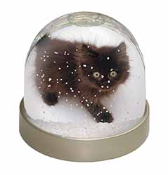 Chocolate Black Kitten Snow Globe Photo Waterball