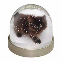 Chocolate Black Kitten Snow Globe Photo Waterball