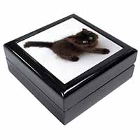 Chocolate Black Kitten Keepsake/Jewellery Box