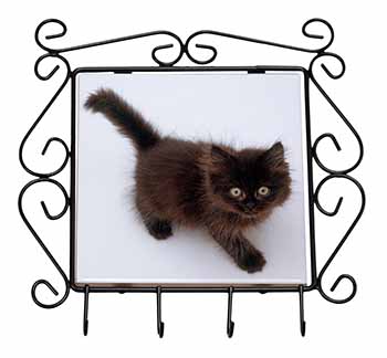 Chocolate Black Kitten Wrought Iron Key Holder Hooks