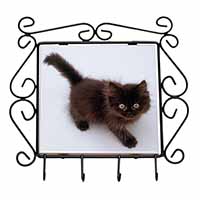 Chocolate Black Kitten Wrought Iron Key Holder Hooks