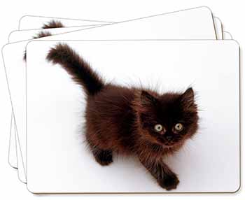 Chocolate Black Kitten Picture Placemats in Gift Box