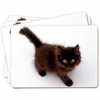 Chocolate Black Kitten Picture Placemats in Gift Box