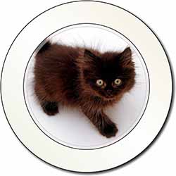 Chocolate Black Kitten Car or Van Permit Holder/Tax Disc Holder