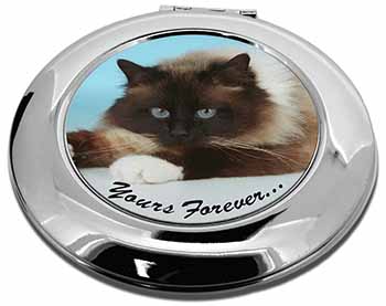 Birman Cat 