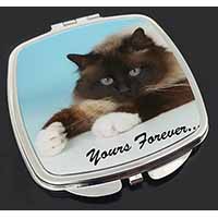 Birman Cat 