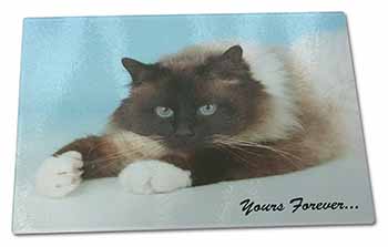 Large Glass Cutting Chopping Board Birman Cat 