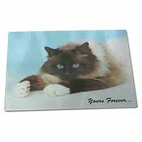 Large Glass Cutting Chopping Board Birman Cat 