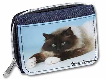 Birman Cat 