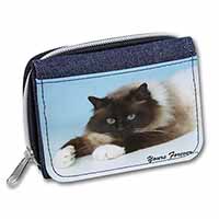 Birman Cat 