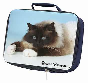 Birman Cat 