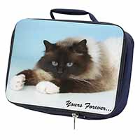 Birman Cat 