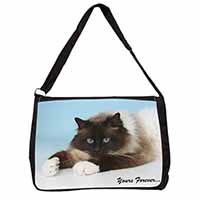 Birman Cat 