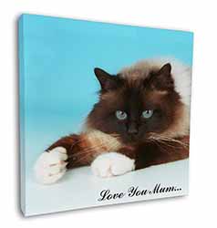 Birman Cat 