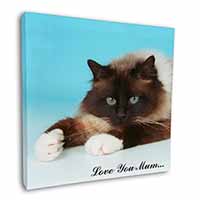 Birman Cat 