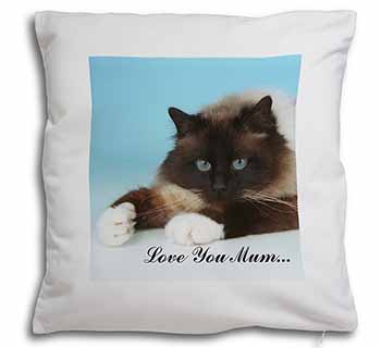 Birman Cat 