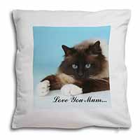 Birman Cat 