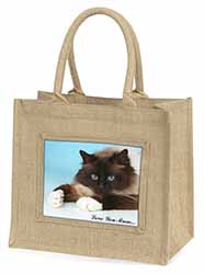 Birman Cat 