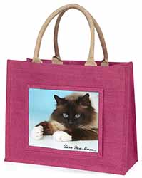 Birman Cat 