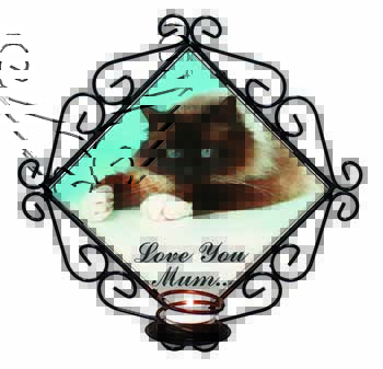 Birman Cat 