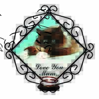 Birman Cat 