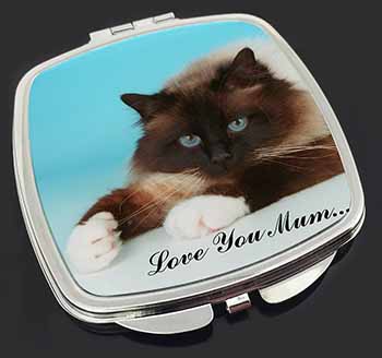 Birman Cat 