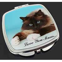 Birman Cat 