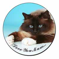 Birman Cat 