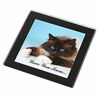 Birman Cat 