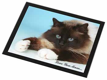 Birman Cat 