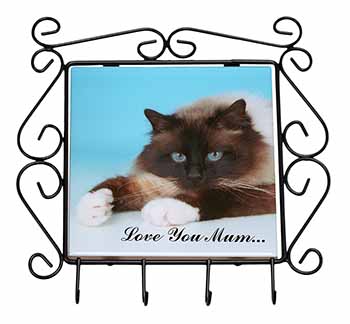 Birman Cat 