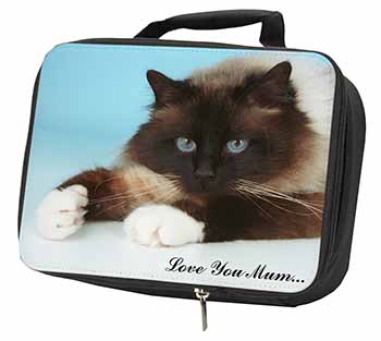 Birman Cat 