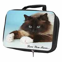 Birman Cat 