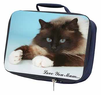 Birman Cat 