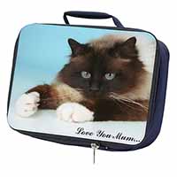 Birman Cat 