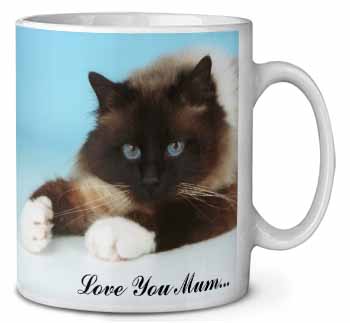 Birman Cat 