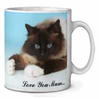 Birman Cat 