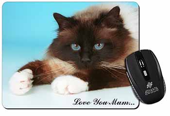 Birman Cat 