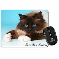 Birman Cat 