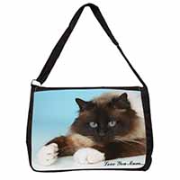 Birman Cat 