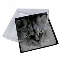 4x Grey Persian Cat Picture Table Coasters Set in Gift Box