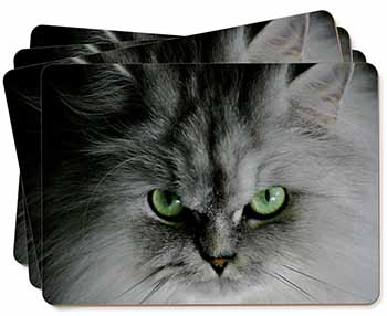 Grey Persian Cat Picture Placemats in Gift Box