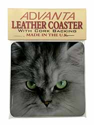 Grey Persian Cat Single Leather Photo Coaster