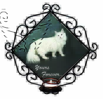 White Cat 