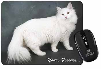 White Cat 